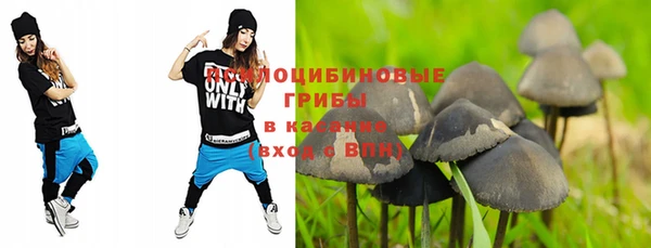 a pvp Абдулино