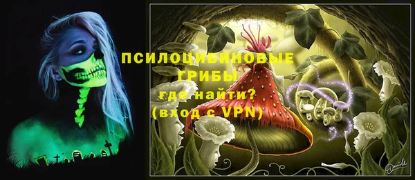 марки lsd Абаза