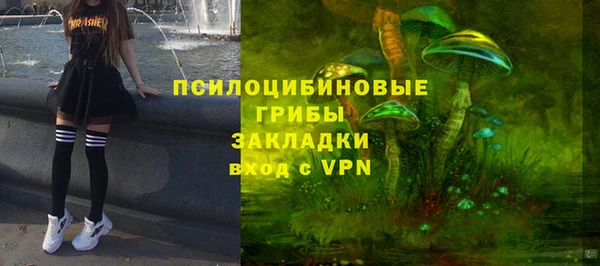 мдпв Абинск