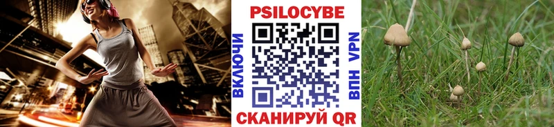 Псилоцибиновые грибы GOLDEN TEACHER  как найти   Терек 